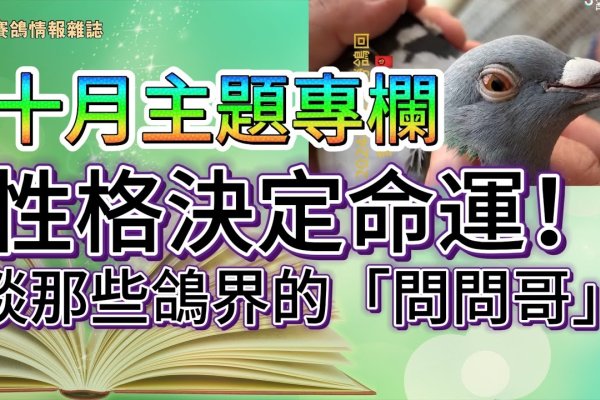 最佳生肖揭晓，鸟尽弓藏-新乐天