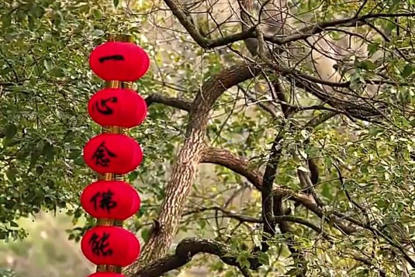 正月初九是什么日子-新乐天