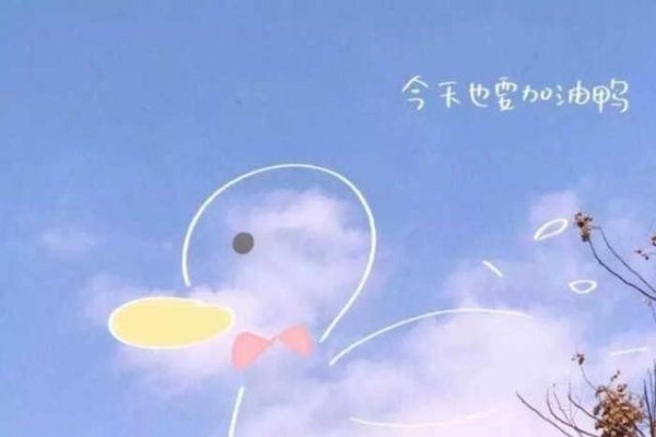 中英混搭，网名中的文化交融与个性表达-新乐天